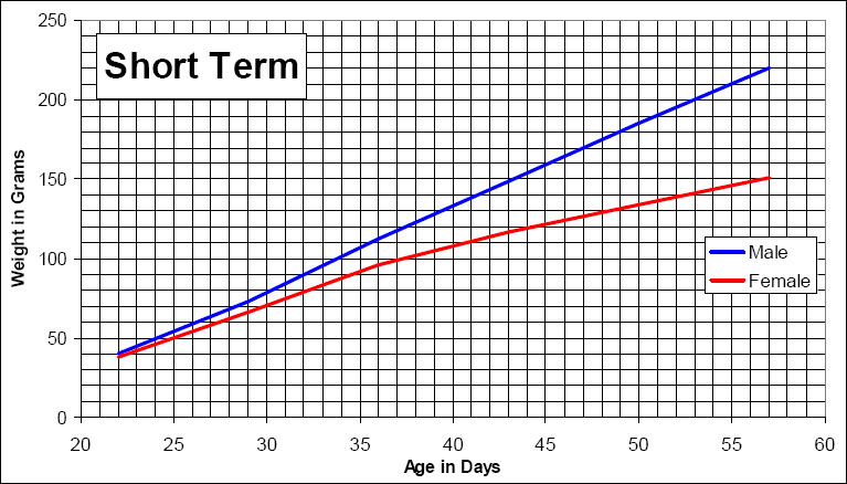 Short term growth chart for Fischer 344