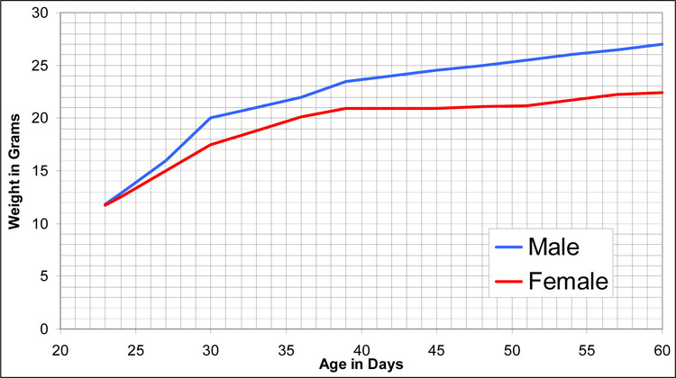 Growth Chart for the IRCF1