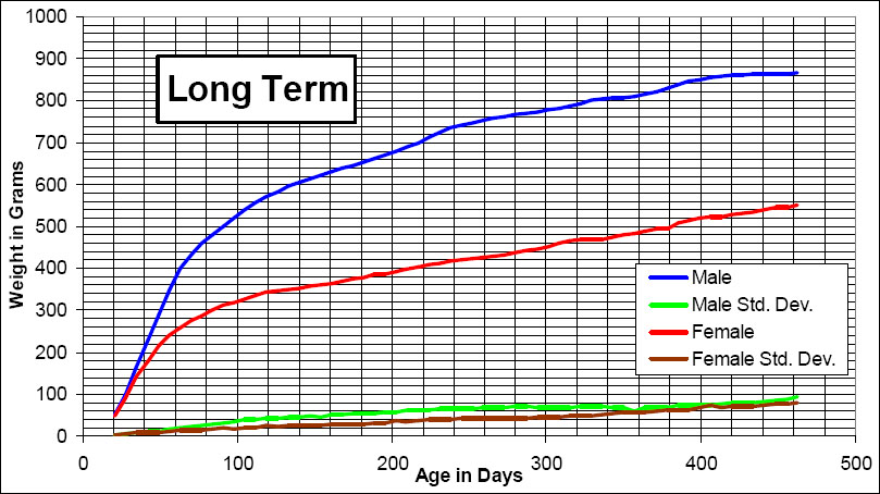 charts about rats